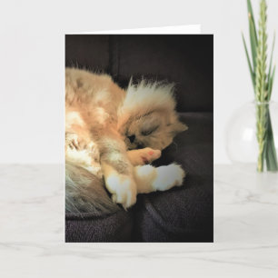 Slow Days, card