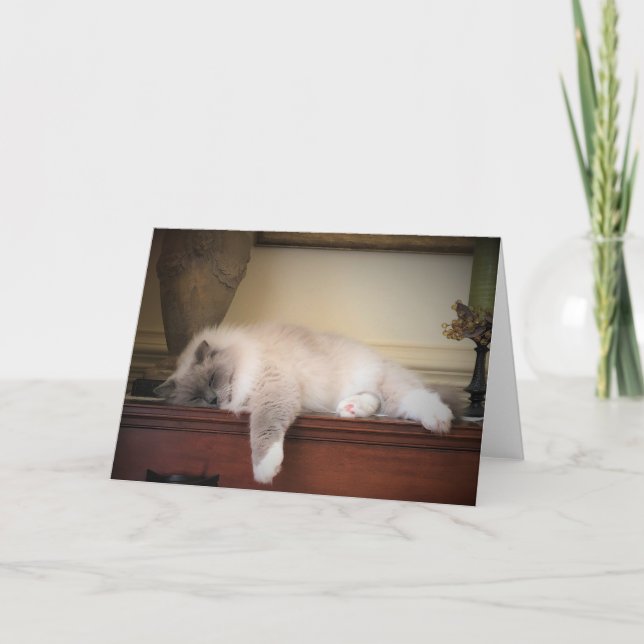 Slow Days, card (Front)