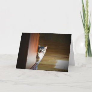 Slow Days, card