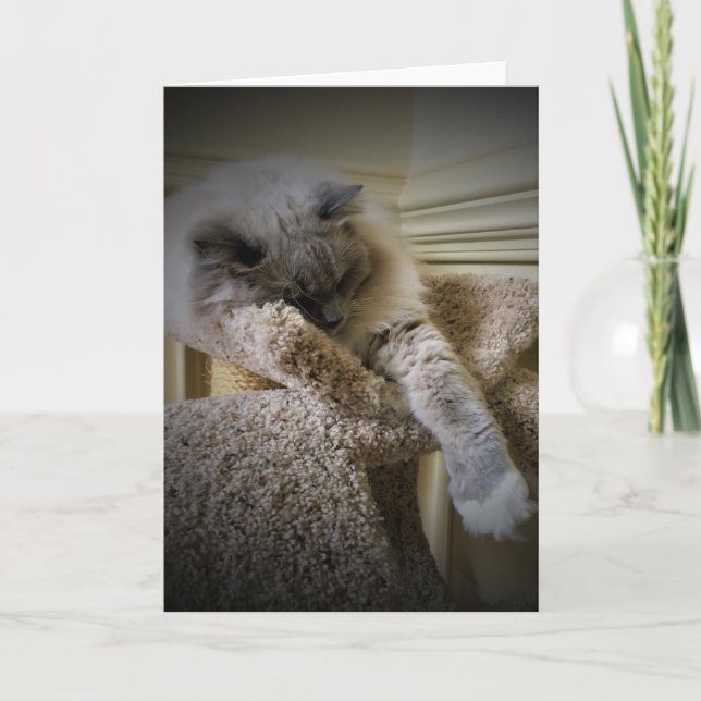 Slow Days, card (Front)