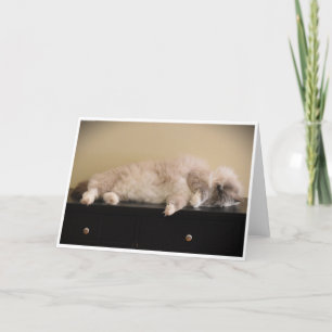 Slow Days, card