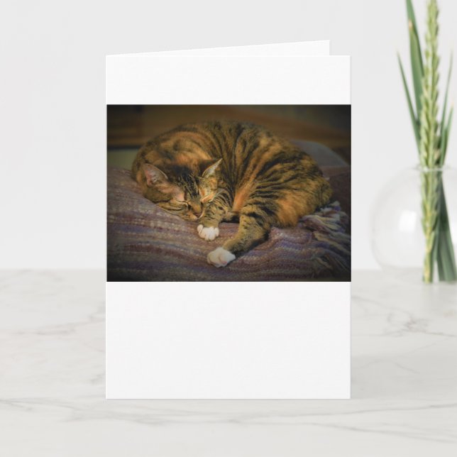 Slow Days, card (Front)