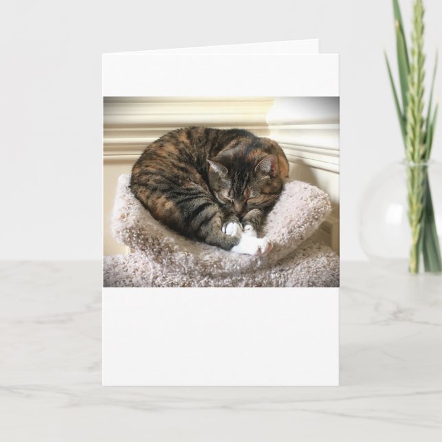 Slow Days, card (Front)