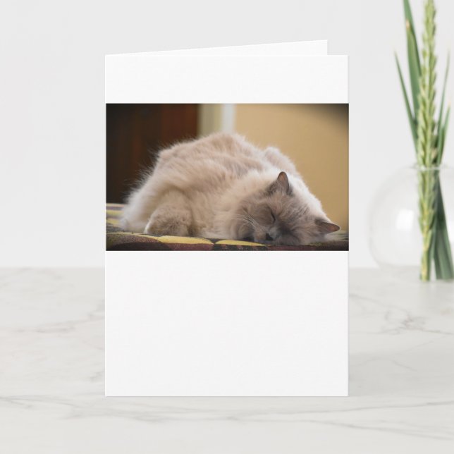 Slow Days, card (Front)