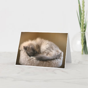 Slow Days, card