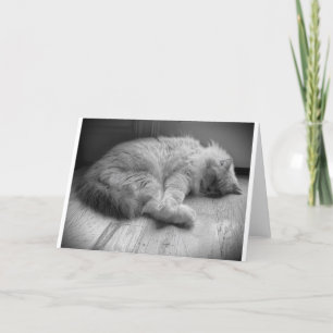 Slow Days, card