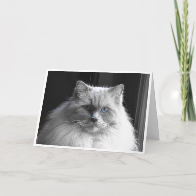 Slow Days, card (Front)