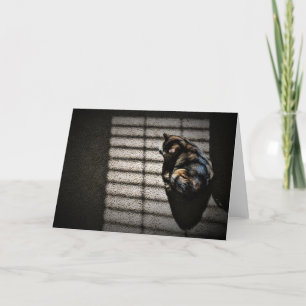 Slow Days, card