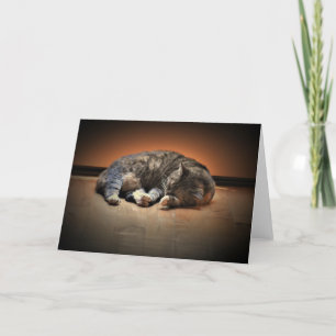 Slow Days, card