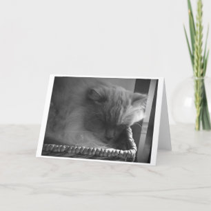 Slow Days, card