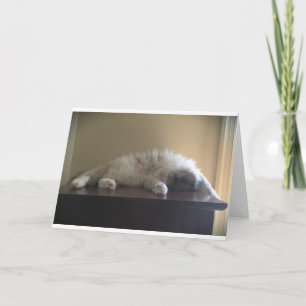 Slow Days, card