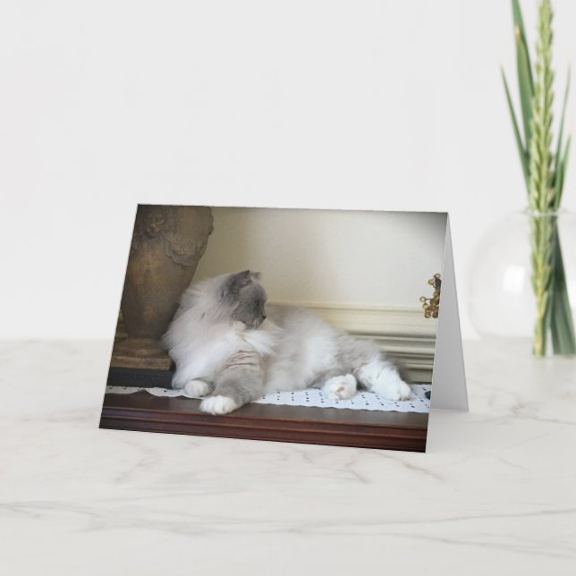 Slow Days, card (Front)