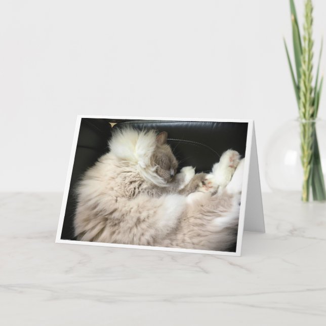 Slow Days, card (Front)