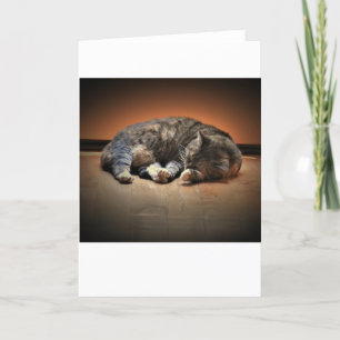 Slow Days, card