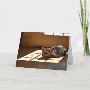 Slow Days, card