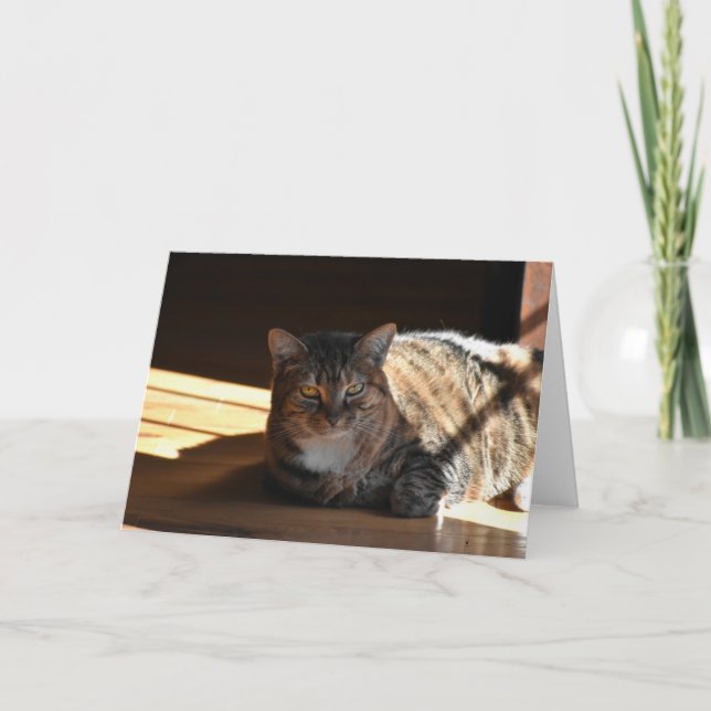 Slow Days, card (Front)