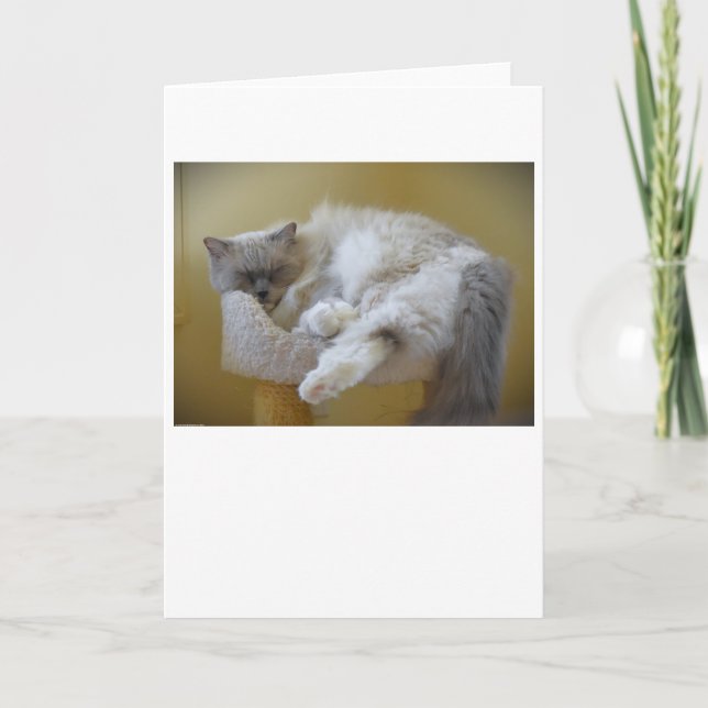 Slow Days, card (Front)