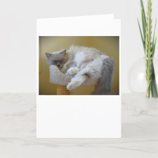 Slow Days, card