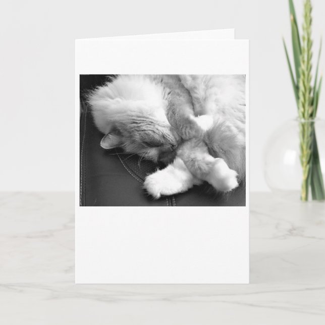 Slow Days, card (Front)