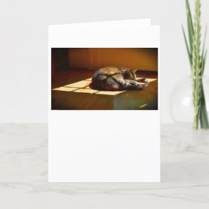 Slow Days, card