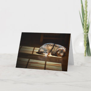 Slow Days, card