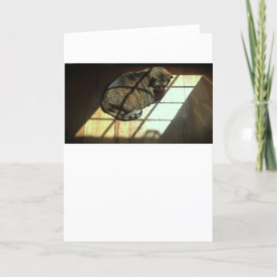 Slow Days, card