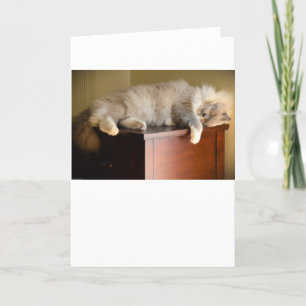 Slow Days, card