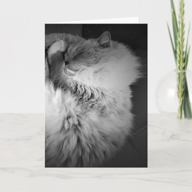 Slow Days, card (Front)