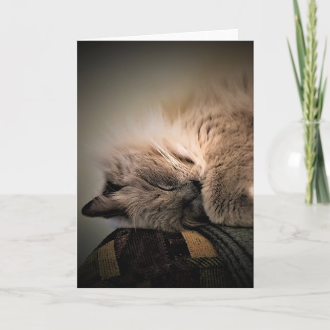 Slow Days, card (Front)