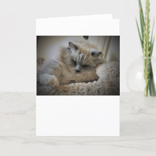 Slow Days, card