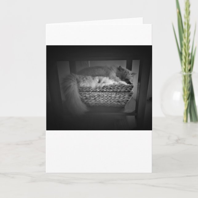 Slow Days, card (Front)