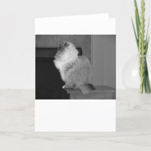Slow Days, card