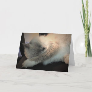 Slow Days, card