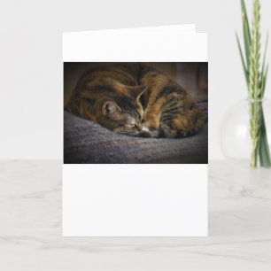 Slow Days, card