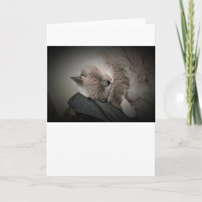 Slow Days, card (Front)