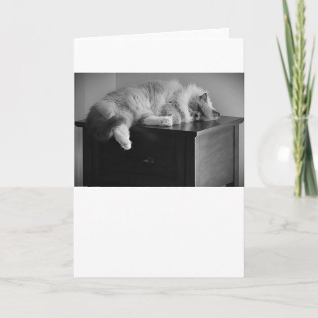 Slow Days, card (Front)