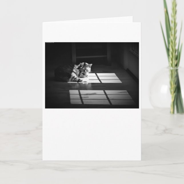 Slow Days, card (Front)