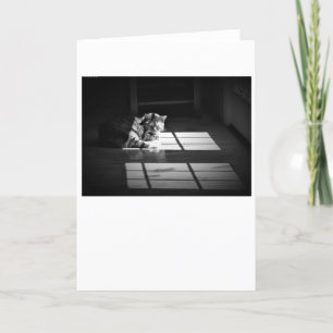 Slow Days, card