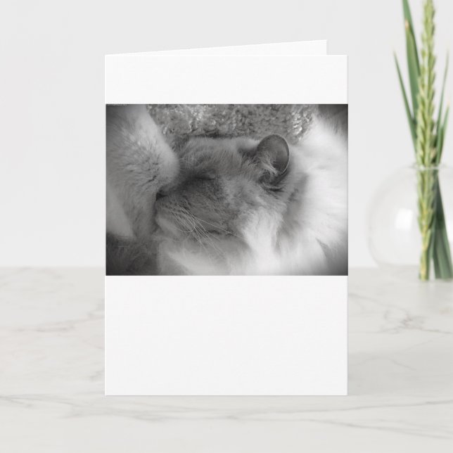 Slow Days, card (Front)