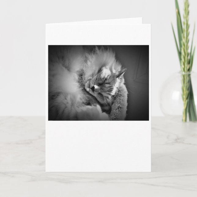 Slow Days, card (Front)