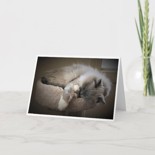 Slow Days, card (Front)