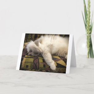 Slow Days, card