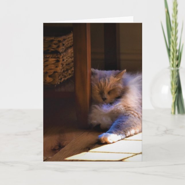 Slow Days, card (Front)