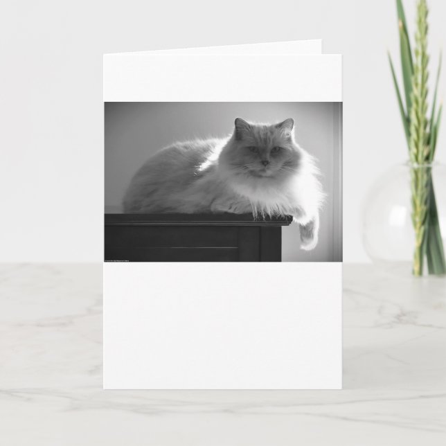 Slow Days, card (Front)