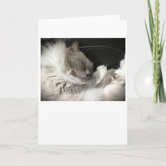 Slow Days, card (Front)