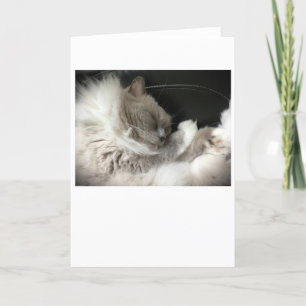Slow Days, card