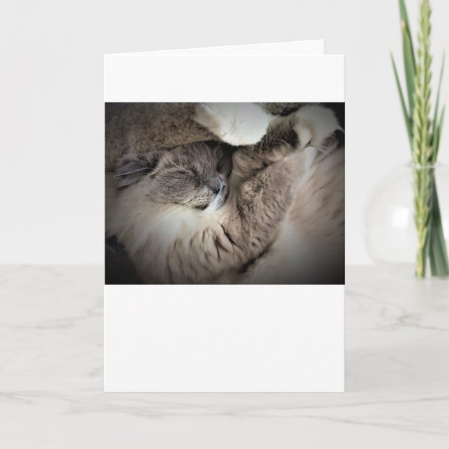 Slow Days, card (Front)