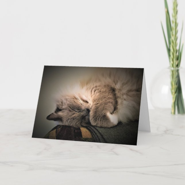 Slow Days, card (Front)