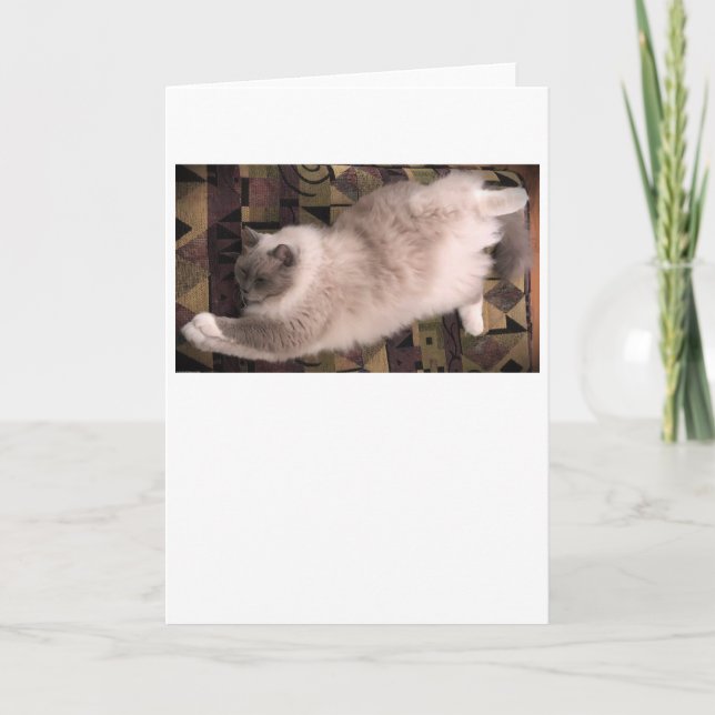 Slow Days, card (Front)