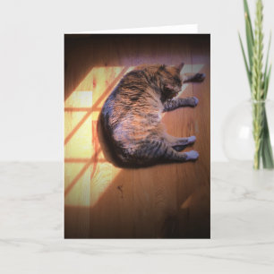 Slow Days, card